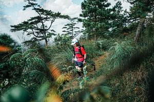 BIB: 
                            <button type="button" onclick="openModal(25259386)" class="btn btn-primary btn-sm float-right btn-popup" data-toggle="modal" data-target=".modal-high-quality">
                        <i class="fas fa-shopping-cart"></i> Add to Cart
                    </button>
                                            <button type="button" onclick="isThisMe(25259386, true)" class="btn btn-success btn-sm float-right btn-popup btn-isme hidden" data-toggle="tooltip" data-placement="bottom" title="นี่คือรูปของคุณใช่ไหม คลิกที่นี่เพื่อเอาเข้าอัลบั้ม">
                        <i class="fas fa-plus"></i> Add to album
                    </button>
                    <button type="button" onclick="isThisMe(25259386, false)" class="btn btn-warning btn-sm float-right btn-popup btn-isnotme hidden">
                        <i class="fas fa-ban"></i> Remove from album
                    </button>